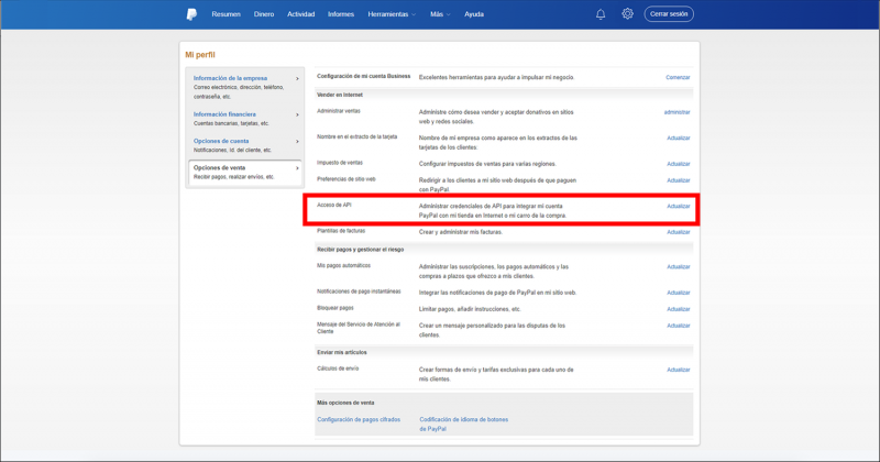 API Access PayPal